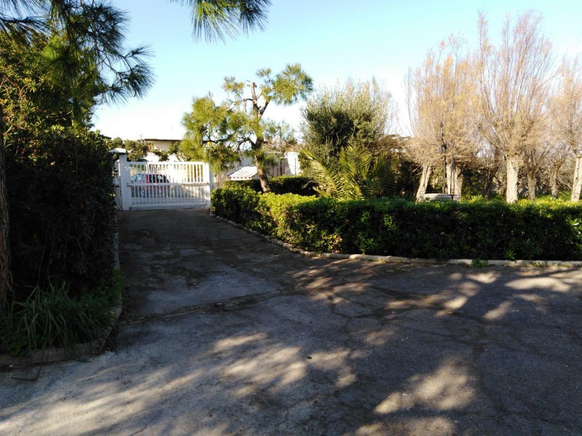 Pietra Di Mare Bed and Breakfast Μπάρι Εξωτερικό φωτογραφία